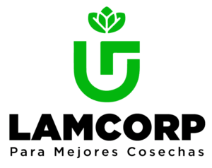 logo lamcorp